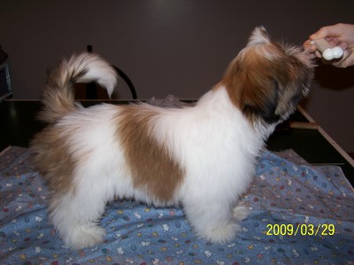 Junior 4 months old!