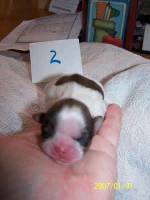 Female #1 Picture!